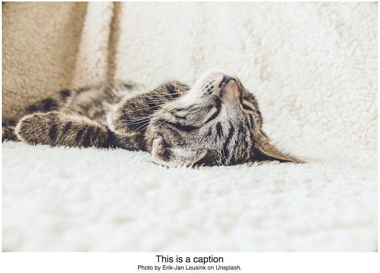 A sleeping cat